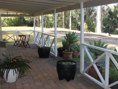 Palm Grove