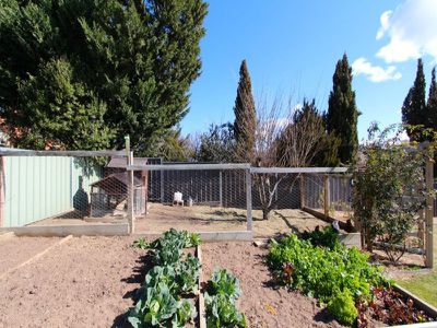 12 Stonestreet Place, Windradyne