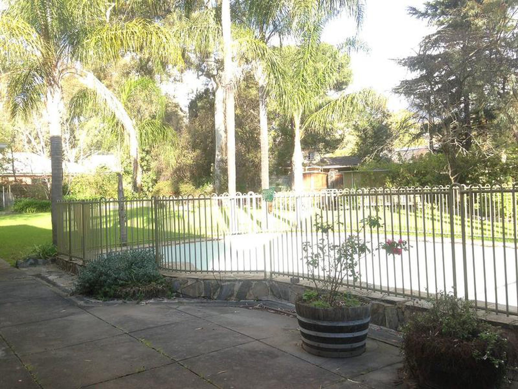 10 Rosedale Avenue, Wattle Park