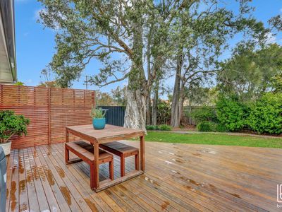 8 Shaw Street, Killarney Vale