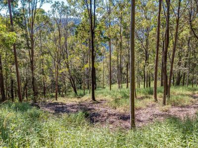 1334 TAMBORINE OXENFORD ROAD, Wongawallan