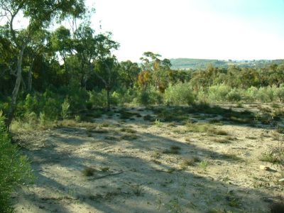 Lot 30 Quirk Street, Emmaville