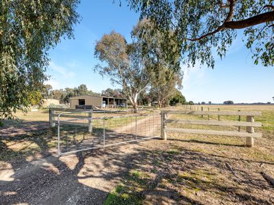 893 Great Alpine Road, Tarrawingee