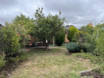 15 Highfield Drive, Grovedale