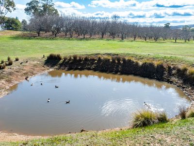 'Rose Cottage' 75 Lawrie Road, Beechworth