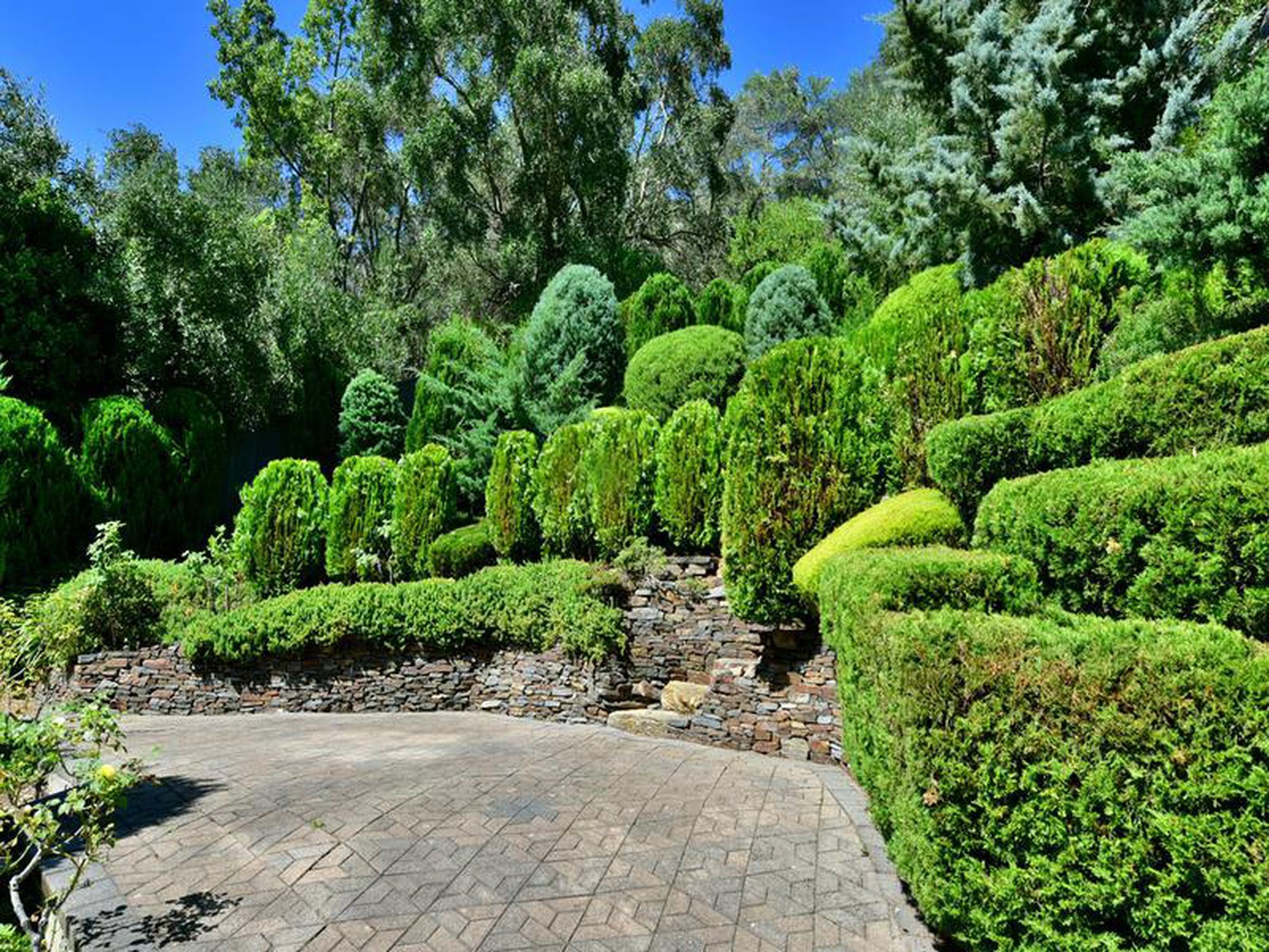 22 Wyfield Street, Wattle Park