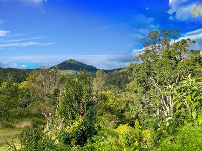2 / 115 Gonpa Road, Collins Creek