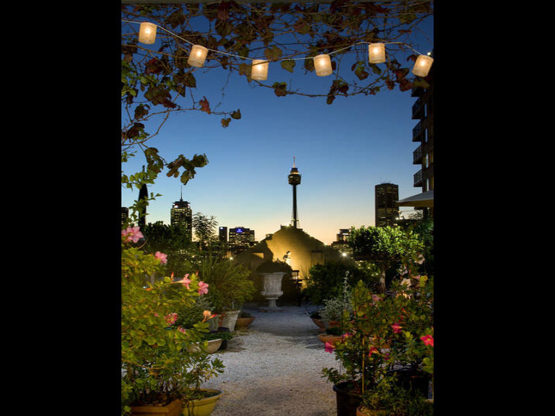 18 Springfield Avenue, Potts Point