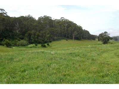 Lot 47 -48 Lower Towamba Road, Kiah