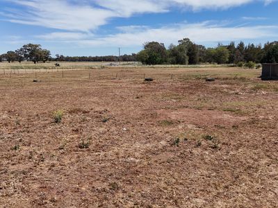 2200B Newell Highway, Tichborne