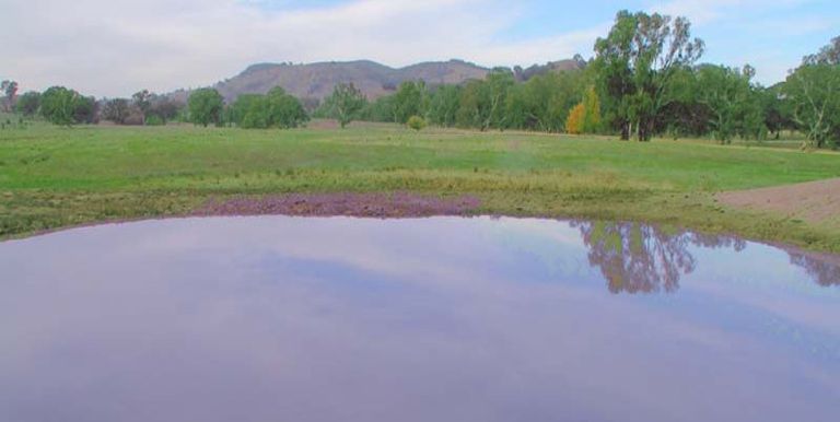 Long Gully Road, Violet Town