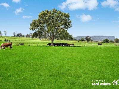 34 Carinya Road, Rosewood