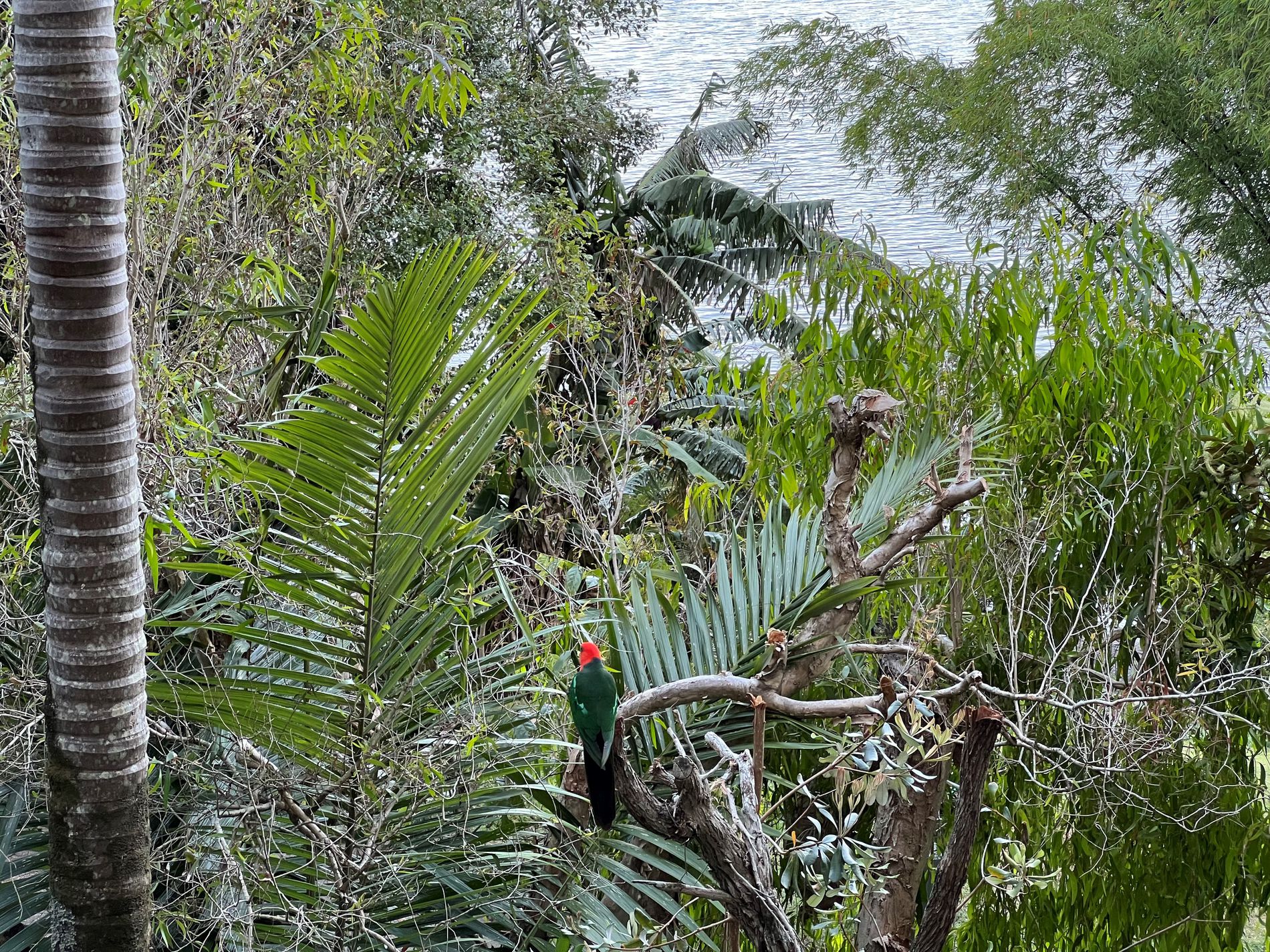 166 Broadwater Esplanade, Bilambil Heights