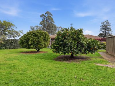 39 Milawa-Bobinawarrah Road, Milawa
