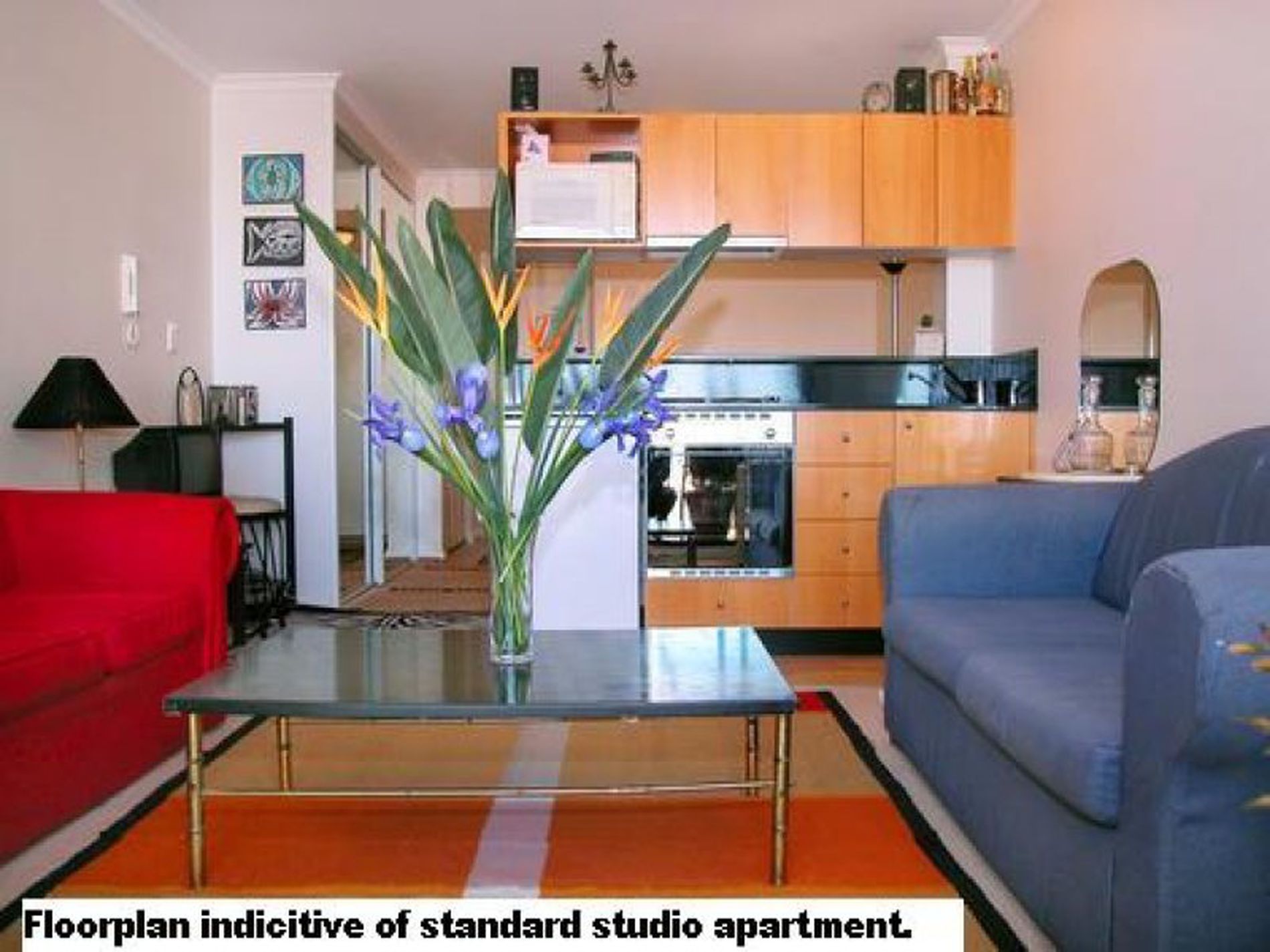 804 / 508 Riley Street, Surry Hills