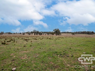 Lot Plain View South, 916 Emmaville Road, Glen Innes