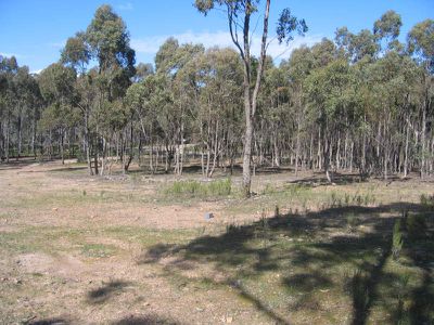 39 WARROWITUE FOREST ROAD, Heathcote