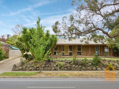 37 Cheviot Avenue, Berwick