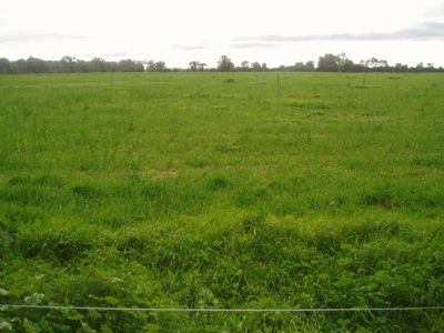 168 Craddocks Road, Cohuna