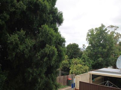 5 / 81 - 85 Forest  Rd, Arncliffe