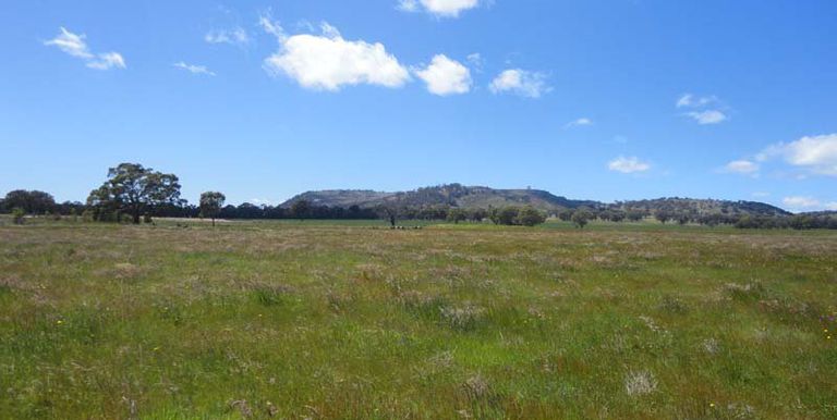 112 Jefferies Road Locksley, Avenel