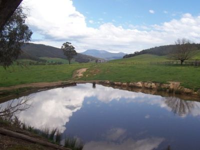 Rousseaus Road, Tallangatta Valley
