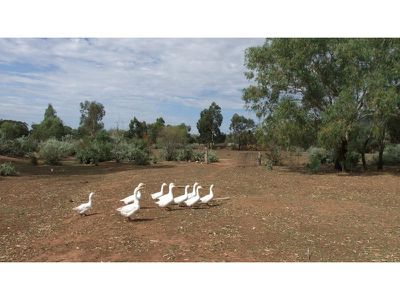 65 Reading Road, Gunnedah