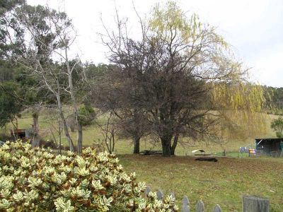 Gardners Bay