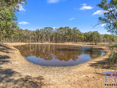 127 Popes Road, Junortoun