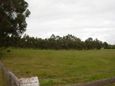 Lot 52, Buchanan Road, Worrolong