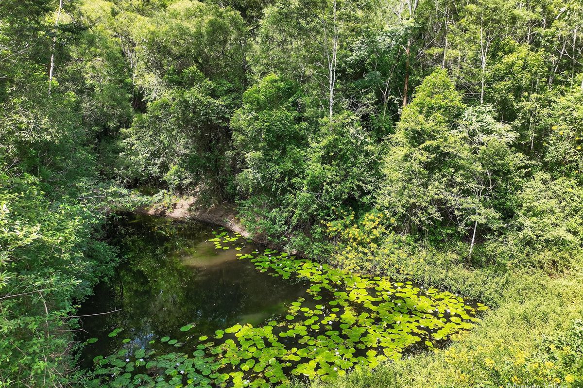 334 Mount Coxcomb Road, Upper Lansdowne