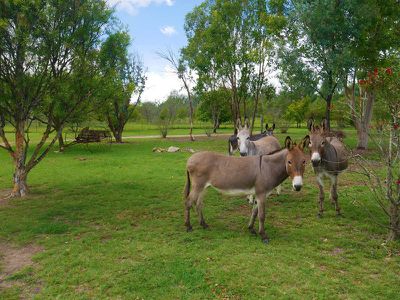 958 River Road, Kingaroy