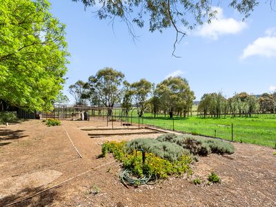 1444 Hoskinstown Road, Hoskinstown