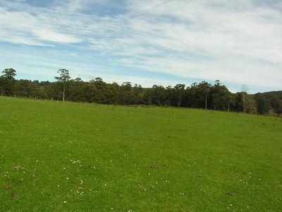 Braeside Road, Franklin