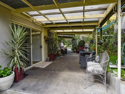 159 Williams Road, Millicent