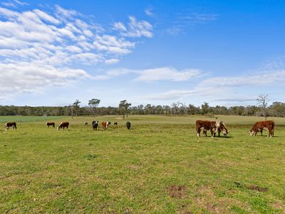 5581 South Gippsland Highway, Longford