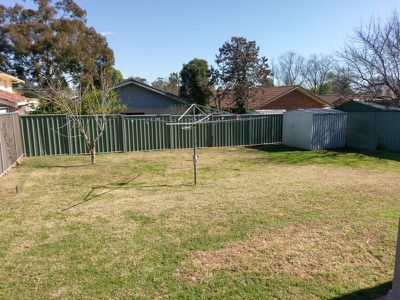 113 Dalton Street, Dubbo