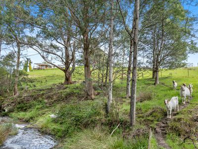 60 Clear Creek Road, Woodbridge