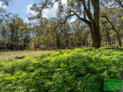 728 The Bridle Track, Duramana