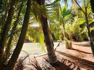 23 Styles Road, Port Hedland