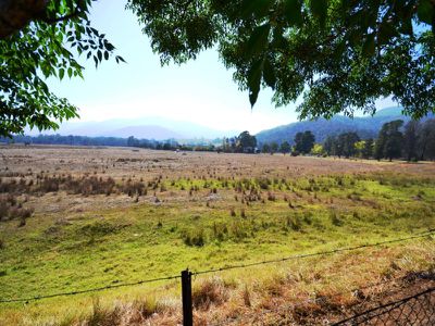 55 Valley Avenue , Mount Beauty