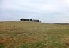 304 Norah Creek Road, Molong