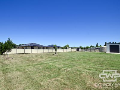 157 Grafton Street, Glen Innes