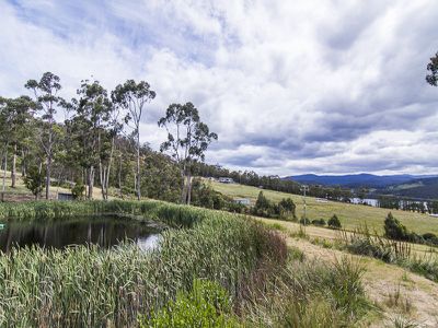 0 Walters Road, Wattle Grove