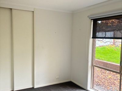3 Mallet Court, Seymour