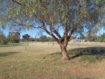 Lot 9 Lot 9 Bundemar Street, Wongarbon