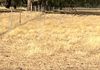 1643 North Bannister-Wandering Road, Wandering