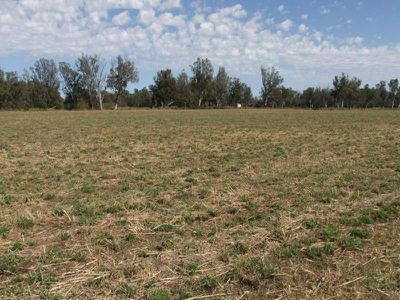 Lot 42 Orange Grove Road, Gunnedah