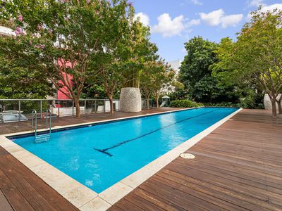 252 Botany Road , Alexandria