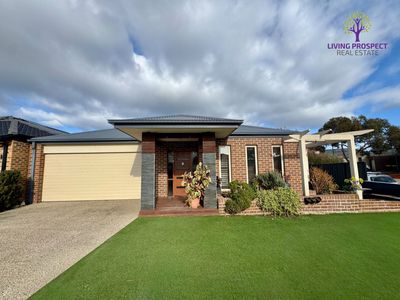 43 Ponsford Drive, Point Cook